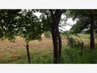 Terreno en venta en El Buzón, Manlio Fabio Altamirano — foto 2 de 9