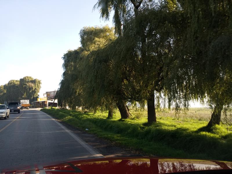 Terreno en venta en Centro Ocoyoacac, Ocoyoacac — foto 1 de 4