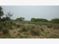 Terreno en venta en LA FUENTE, Alvarado — foto 3 de 14