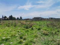 Terreno en venta en San Bernardino Tlaxcalancingo, San Andrés Cholula — foto 2 de 4