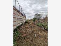 Terreno en venta en San Bernardino Tlaxcalancingo, San Andrés Cholula — foto 3 de 4