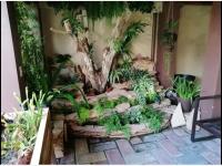 Casa en venta en Alfredo Bonfil, Yautepec — foto 3 de 14