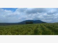 Terreno en venta en Aculco de Espinoza, Aculco — foto 2 de 8