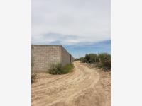Terreno en renta en Ejido San Miguel, Matamoros — foto 3 de 7