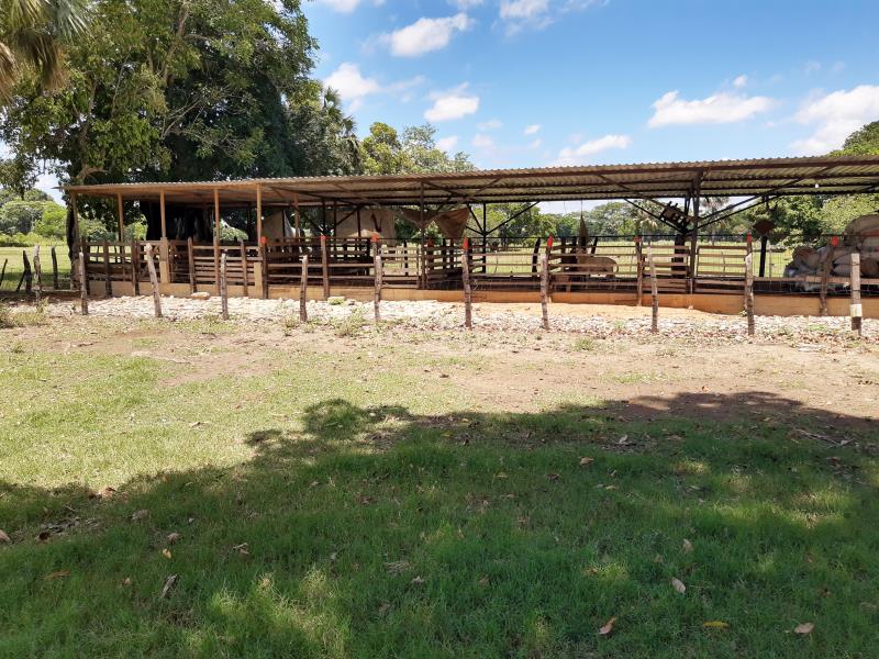Finca-Rancho en venta en Parrilla, Centro — foto 1 de 17