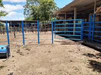 Finca-Rancho en venta en Parrilla, Centro — foto 3 de 17