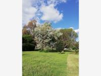 Terreno en venta en Campestre San Gil, San Juan del Río — foto 2 de 6