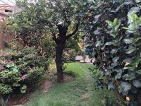 Casa en venta en Santa Maria Ahuacatitlan, Cuernavaca — foto 2 de 20