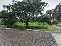 Terreno en venta en El Chivato (Providencia), Villa de Álvarez — foto 2 de 8