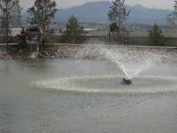Terreno en venta en Loma Alta, Arteaga — foto 3 de 8