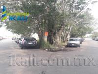 Terreno en renta en Franco Cruz Hernández, Tuxpan, Veracruz de Ignacio de la Llave