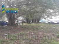 Terreno en renta en Franco Cruz Hernández, Tuxpan — foto 2 de 10
