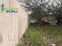 Terreno en renta en Franco Cruz Hernández, Tuxpan — foto 3 de 10
