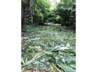 Terreno en venta en Libertad, Huimanguillo — foto 2 de 5