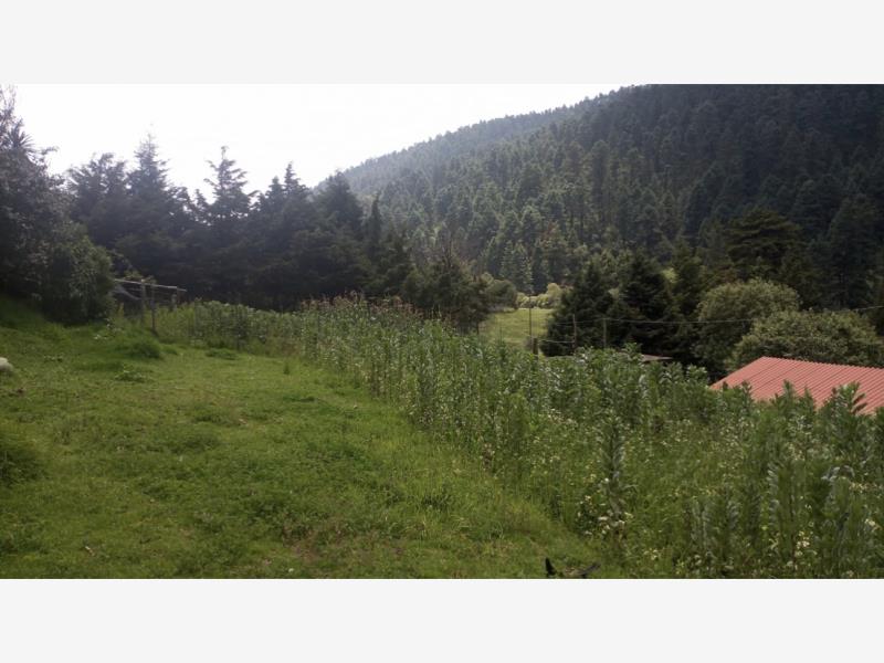 Terreno en venta en Cañada de Alferes, Lerma — foto 1 de 3