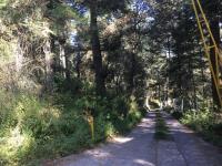 Terreno en venta en Pueblo Nuevo, Mineral del Monte — foto 3 de 15