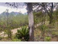 Terreno en venta en Jame, Arteaga — foto 3 de 9