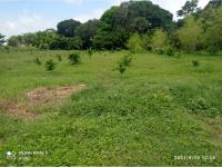 Finca-Rancho en venta en El Copital, Medellín de Bravo — foto 3 de 12