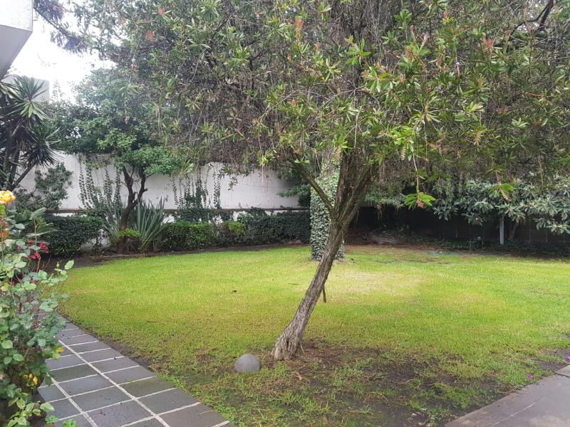 Casa en renta en Lomas de Chapultepec I Sección, Miguel Hidalgo — foto 1 de 9