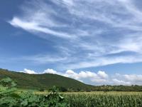 Terreno en venta en La Nopalera, Yautepec — foto 2 de 2