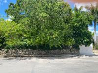 Terreno en venta en San Ramon Norte, Mérida — foto 3 de 6