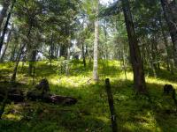 Terreno en venta en Hermoso Fraccionamiento Campestre para Cabañas., Mineral del Chico — foto 2 de 2