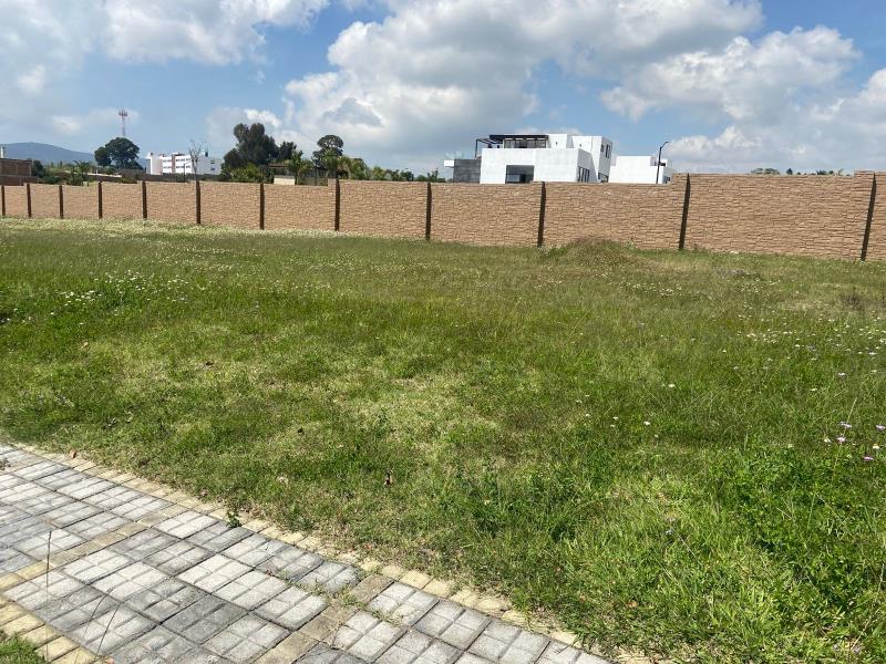 Terreno en venta en Lomas de Angelópolis II, San Andrés Cholula — foto 1 de 4