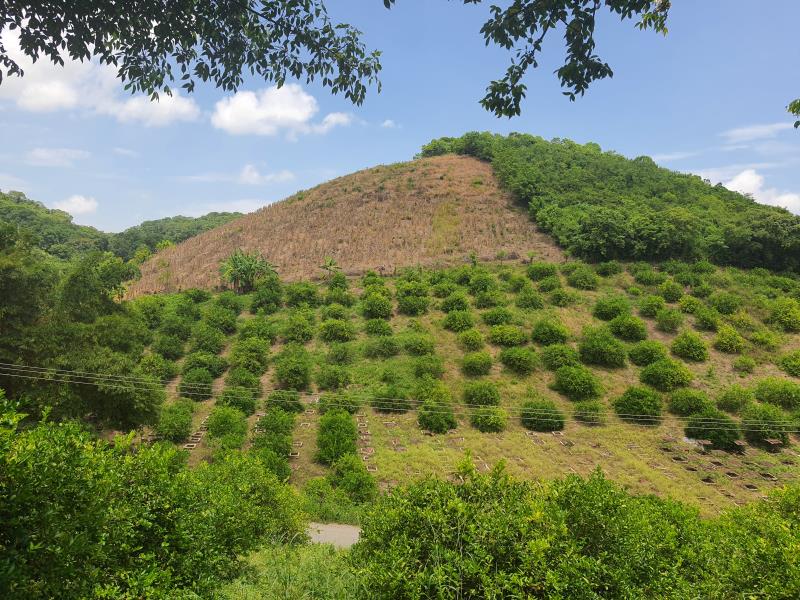 Finca-Rancho en venta en Gutierrez Zamora Centro, Gutiérrez Zamora — foto 1 de 7