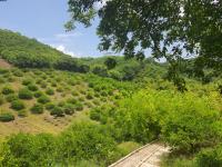 Finca-Rancho en venta en Gutierrez Zamora Centro, Gutiérrez Zamora — foto 2 de 7
