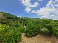 Finca-Rancho en venta en Gutierrez Zamora Centro, Gutiérrez Zamora — foto 3 de 7