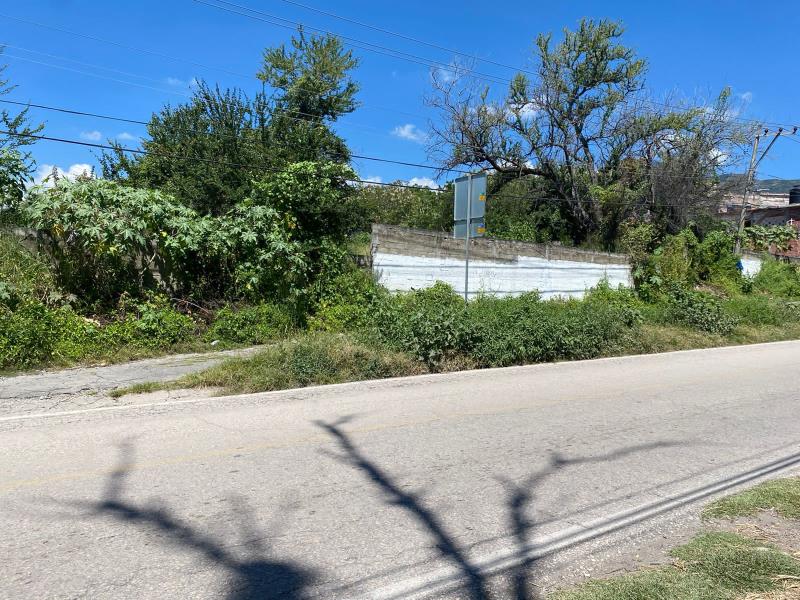Terreno en venta en Las Vivianas, Tlayacapan — foto 1 de 10