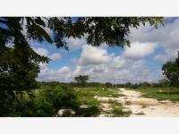 Terreno en venta en San Juan Izamal, Izamal — foto 3 de 28