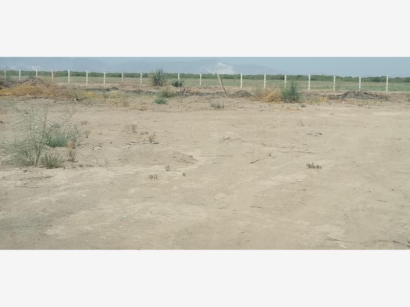 Terreno en venta en El Olivo, Matamoros — foto 1 de 3