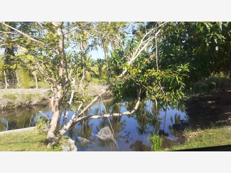 Terreno en venta en Cerro de Ortega, Tecomán — foto 1 de 2