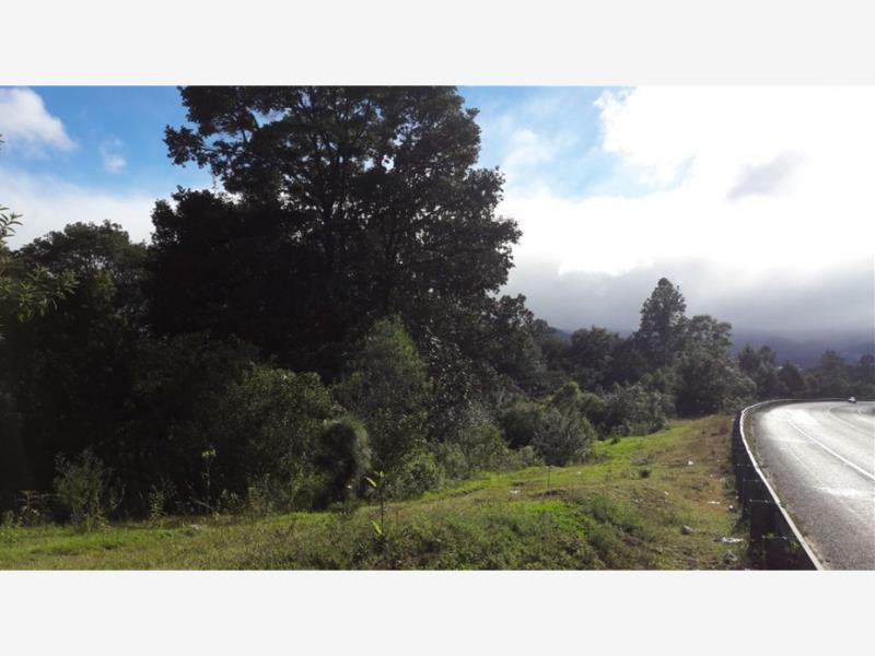 Terreno en venta en La Cañada, San Cristóbal de las Casas — foto 1 de 16