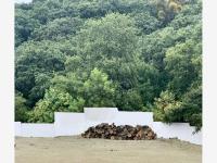 Terreno en venta en Bosque Real, Huixquilucan — foto 3 de 10