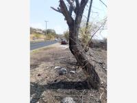 Terreno en venta en Tequesquitengo, Jojutla — foto 3 de 8