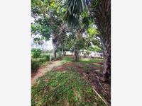 Terreno en venta en Salinas, Alvarado — foto 3 de 10