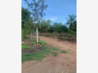Terreno en venta en Punta de Zicatela, Santa María Colotepec — foto 3 de 18