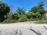 Terreno en venta en Las Vivianas, Tlayacapan — foto 2 de 6