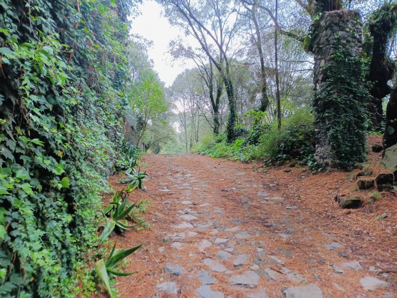 Terreno en venta en El Pirame, Ocoyoacac — foto 1 de 36