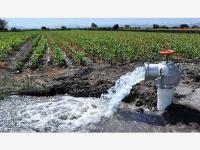 Terreno en venta en Paila, Parras, Coahuila de Zaragoza