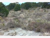 Terreno en venta en Los Llanos, Arteaga — foto 3 de 4