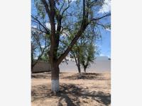 Terreno en venta en Las Trojes, Torreón — foto 2 de 6