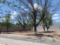 Terreno en venta en Las Trojes, Torreón — foto 3 de 6