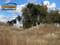Terreno en venta en San Diego, San Andrés Cholula — foto 2 de 8