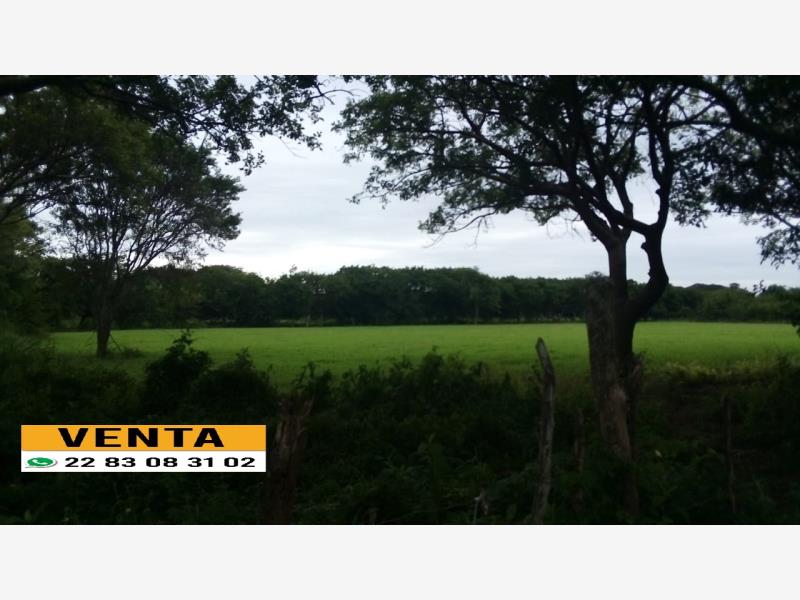 Terreno en venta en Jamapa, Jamapa — foto 1 de 3