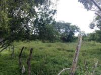 Terreno en venta en Jamapa, Jamapa — foto 3 de 3