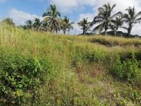 Terreno en venta en Cristobal Colon, Champotón — foto 2 de 13