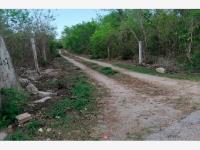 Terreno en venta en Xcunya, Mérida — foto 2 de 6